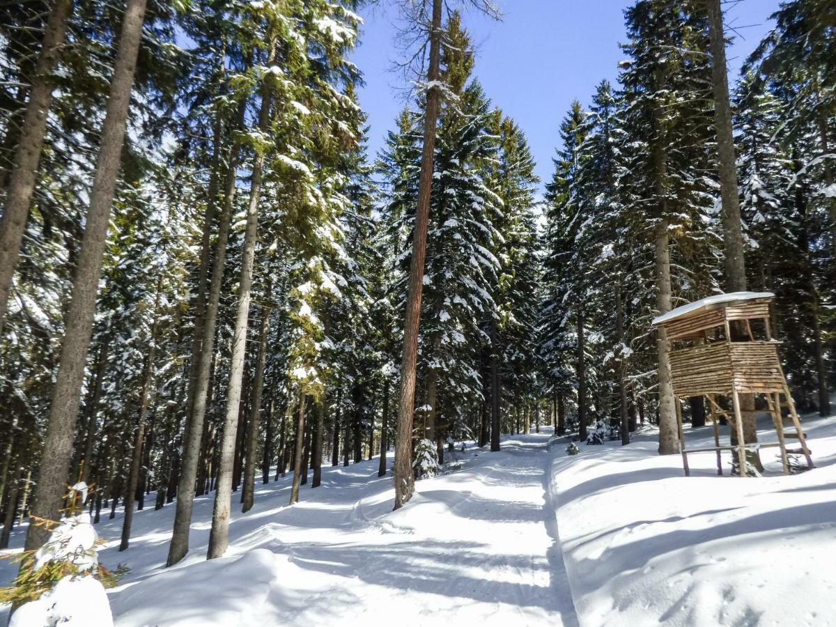Mooki Mountain & Pool Gerlitzen Apartment Kanzelhohe Екстериор снимка